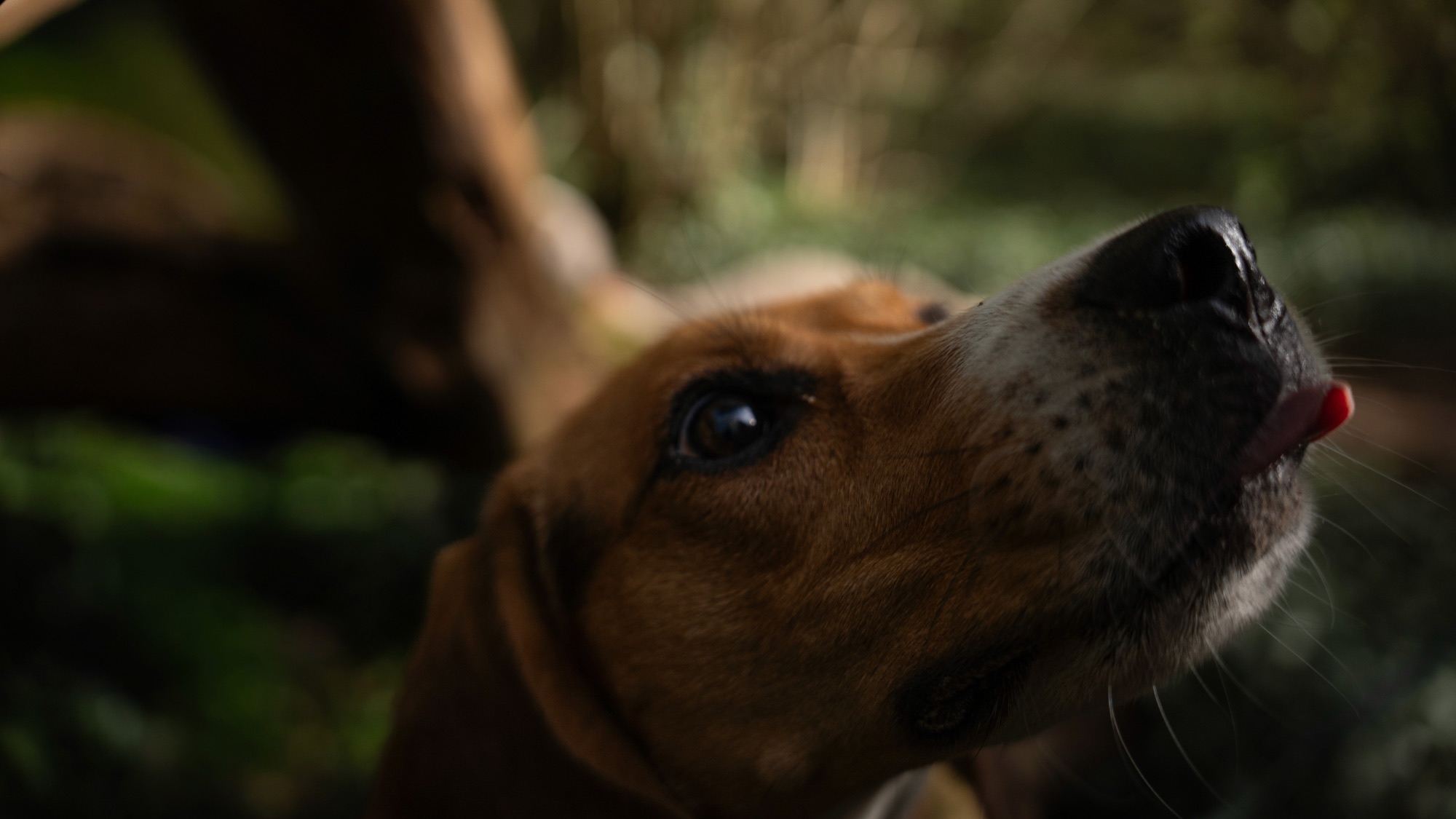 Photo animalière 8 — BYHUGOWW