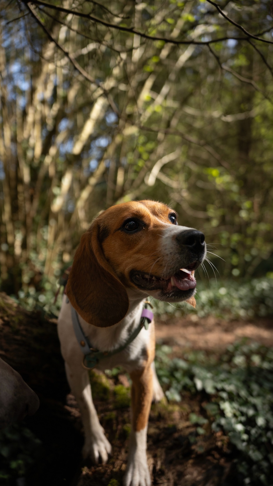 Photo animalière 9 — BYHUGOWW